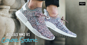 ADIDAS ปล่อย NMD R1 สี COLOR STATIC